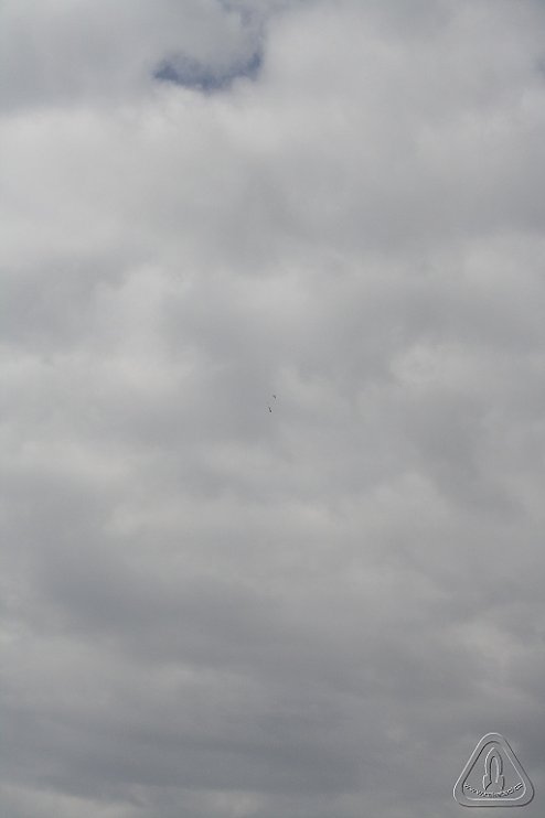 2013 Svojek Mirek Topinka